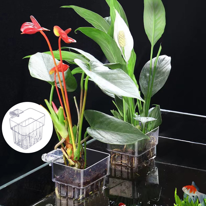 Multifunktion ale Fisch Aquari – Box Fish In Aquarium Bewertung und Preis