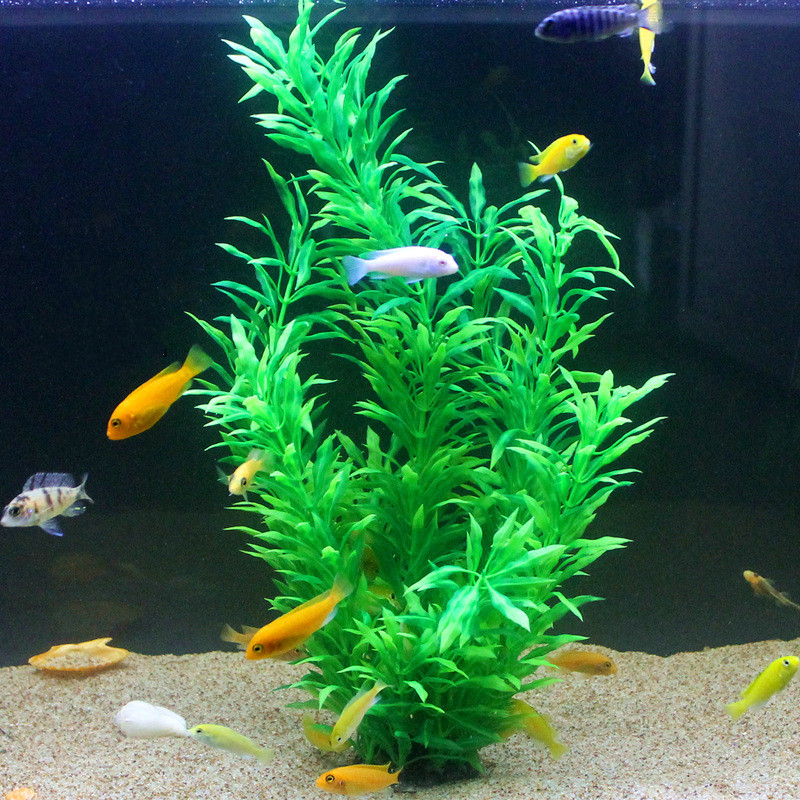 50CM Künstliche Aquarium Selte – Aquarium Fish Gallery Bewertung und Preis