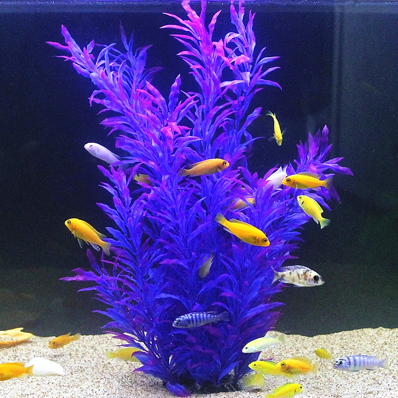 50CM Künstliche Aquarium Selte – Aquarium Fish Gallery Bewertung und Preis