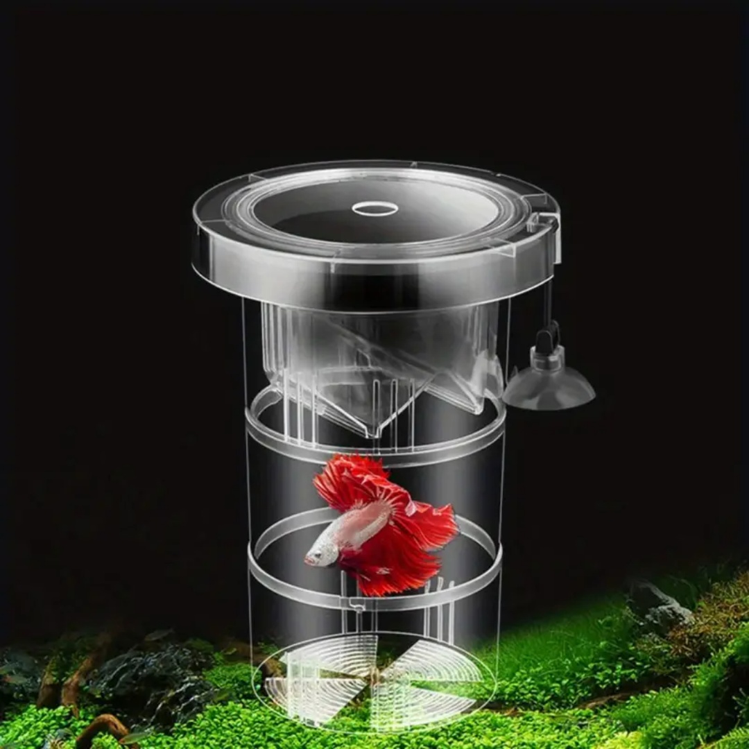 Acryl Schwimmende Fische Zucht – Box Fish In Aquarium Bewertung und Preis