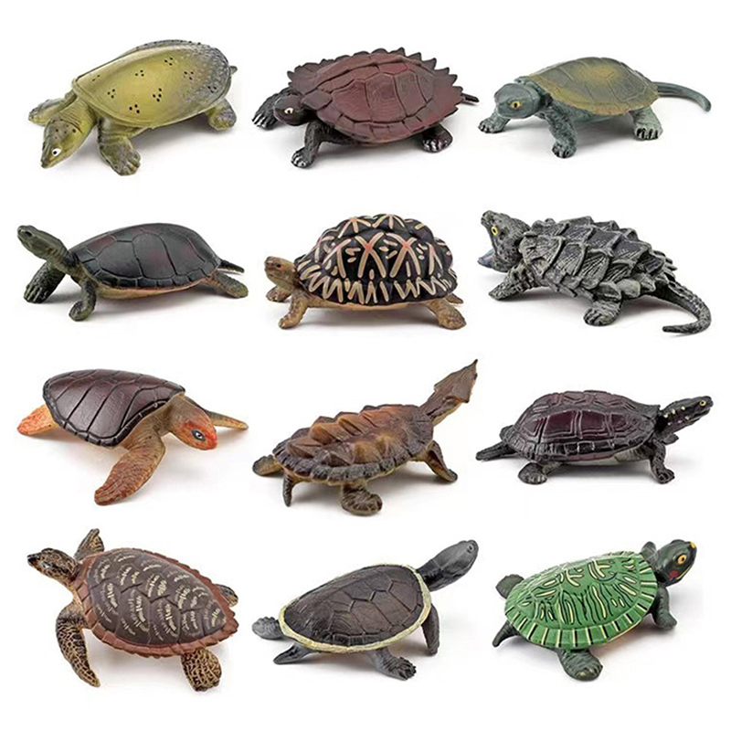 Realistische Schildkröte Actio – Aquarium Fish For Beginners Bewertung und Preis