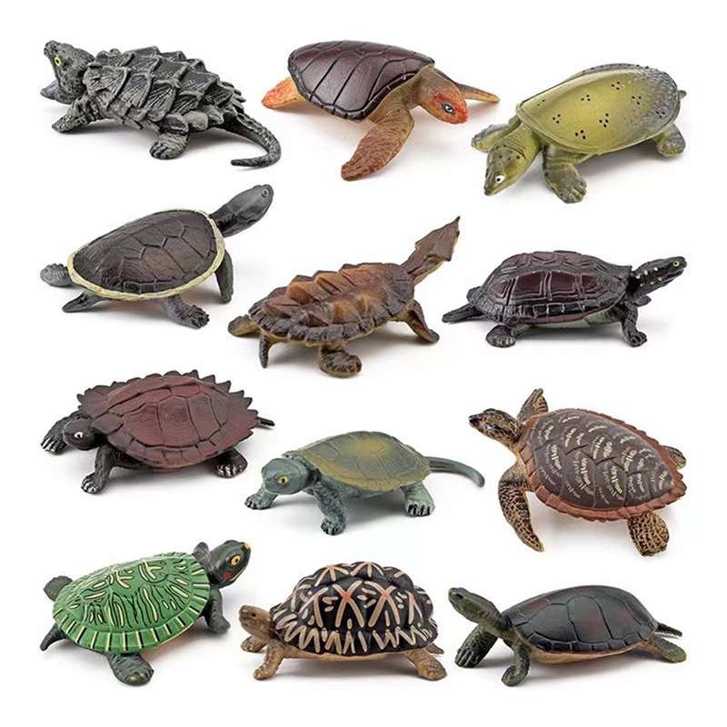 Realistische Schildkröte Actio – Aquarium Fish For Beginners Bewertung und Preis