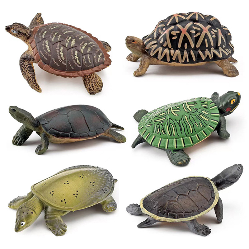 Realistische Schildkröte Actio – Aquarium Fish For Beginners Bewertung und Preis