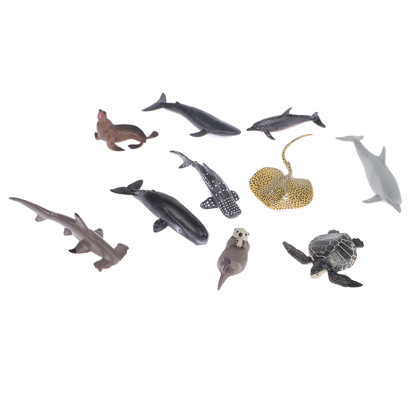 Realistische Schildkröte Actio – Aquarium Fish For Beginners Bewertung und Preis