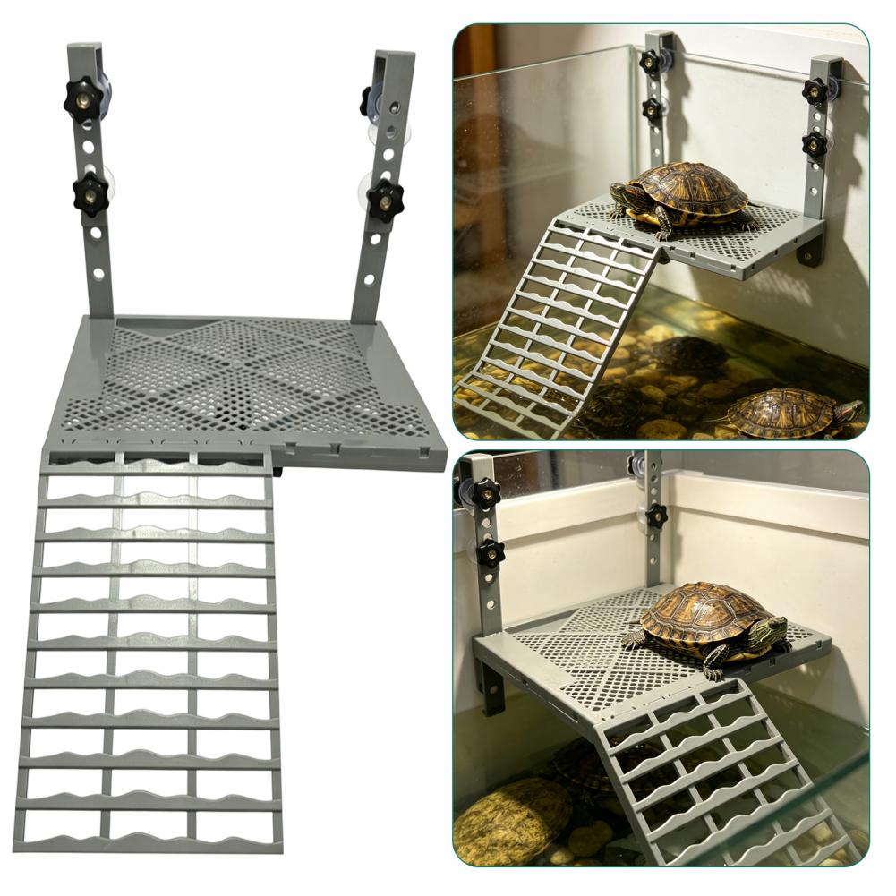 Aquarium-Dekoration: Feste Hän – Aquarium Fish Gallery Bewertung und Preis