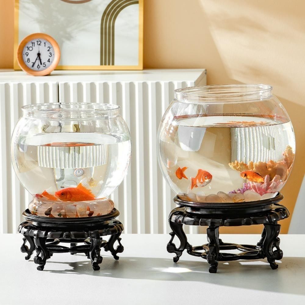 Neues transparentes Aquarium,  – Aquarium Fish For Beginners Bewertung und Preis