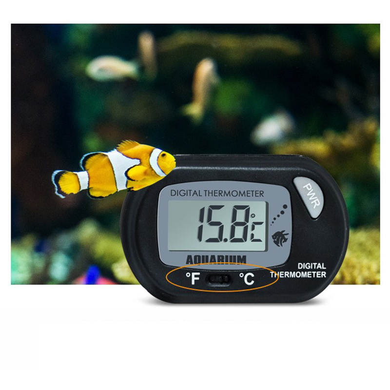 1PC 58*37mm Aquarium Digital T – Aquarium Fish Yellow Bewertung und Preis