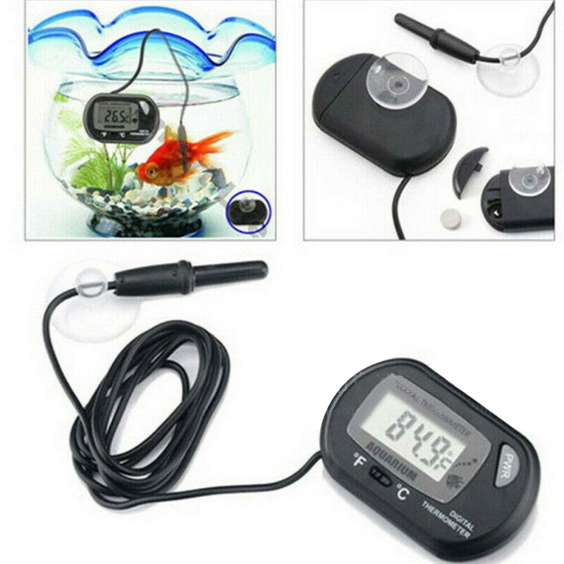 1PC 58*37mm Aquarium Digital T – Aquarium Fish Yellow Bewertung und Preis
