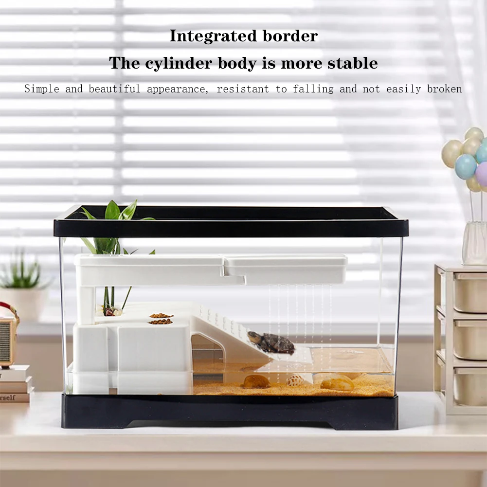 Großes transparentes Schildkrö – Box Fish In Aquarium Bewertung und Preis