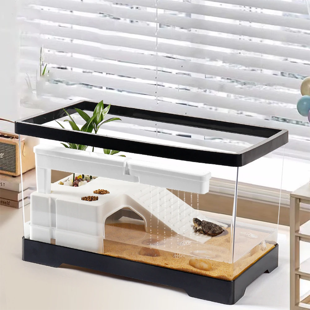 Großes transparentes Schildkrö – Box Fish In Aquarium Bewertung und Preis