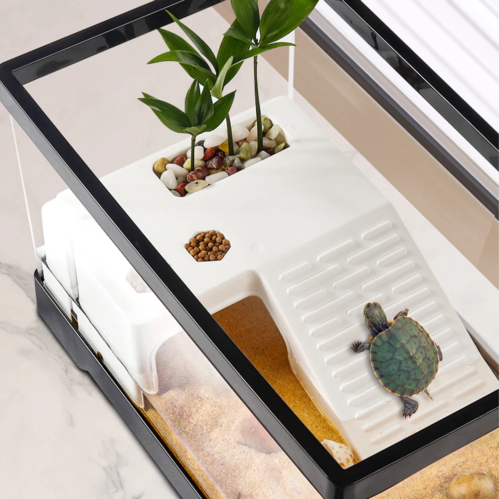 Großes transparentes Schildkrö – Box Fish In Aquarium Bewertung und Preis