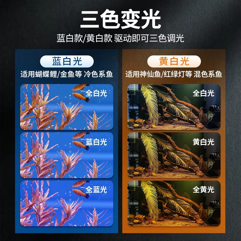 Moderne Aquarium-Beleuchtungsb – Box Fish In Aquarium Bewertung und Preis