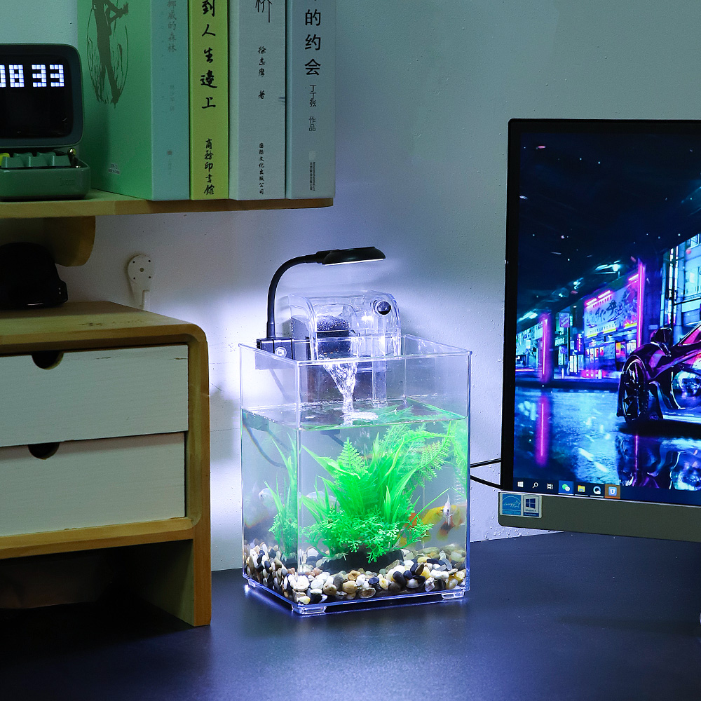 USB Desktop Aquarium Set-einfa – Aquarium Fish For Beginners Bewertung und Preis
