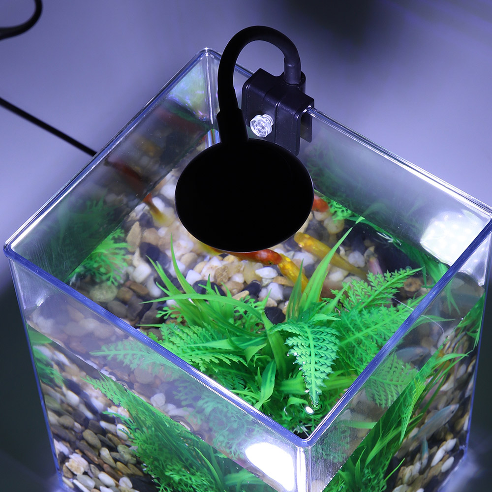 USB Desktop Aquarium Set-einfa – Aquarium Fish For Beginners Bewertung und Preis